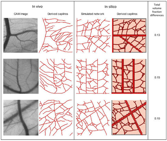Biomed_MDPI's tweet image. 🔍 SPECIAL INTEREST | A compelling read for focused research areas 
📌 Angiogenesis Dynamics: A Computational Model of Intravascular Flow Within a Structural Adaptive Vascular Network
🔗 mdpi.com/2227-9059/12/1…
#SpecialInterest #DeepDive 
@MDPIOpenAccess @MDPIBiologySubj