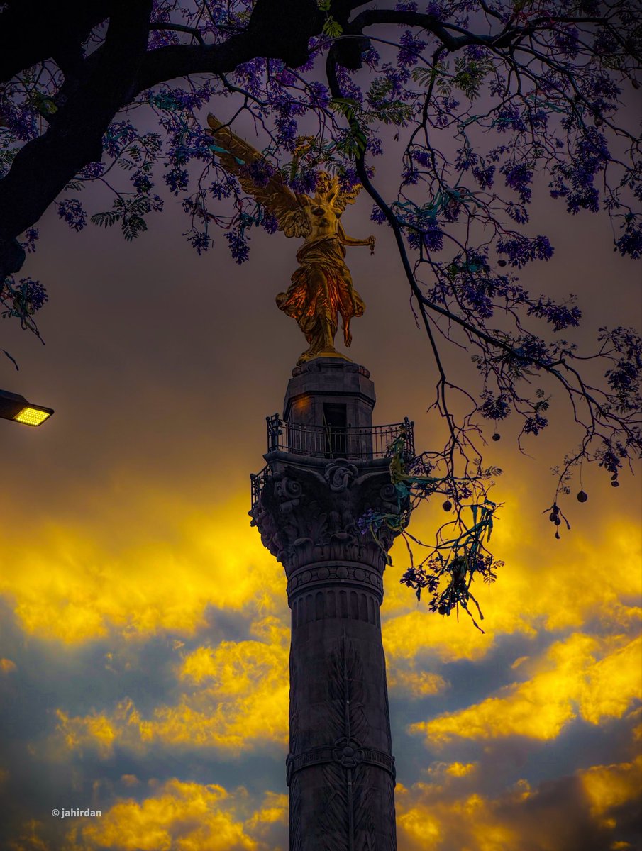 jahirdan's tweet image. Ángel de Primavera… 💛💜 #CDMX #Mexico