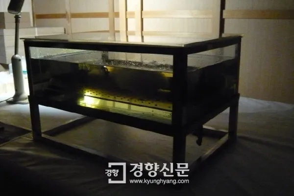 Doyle Meyer tweet media