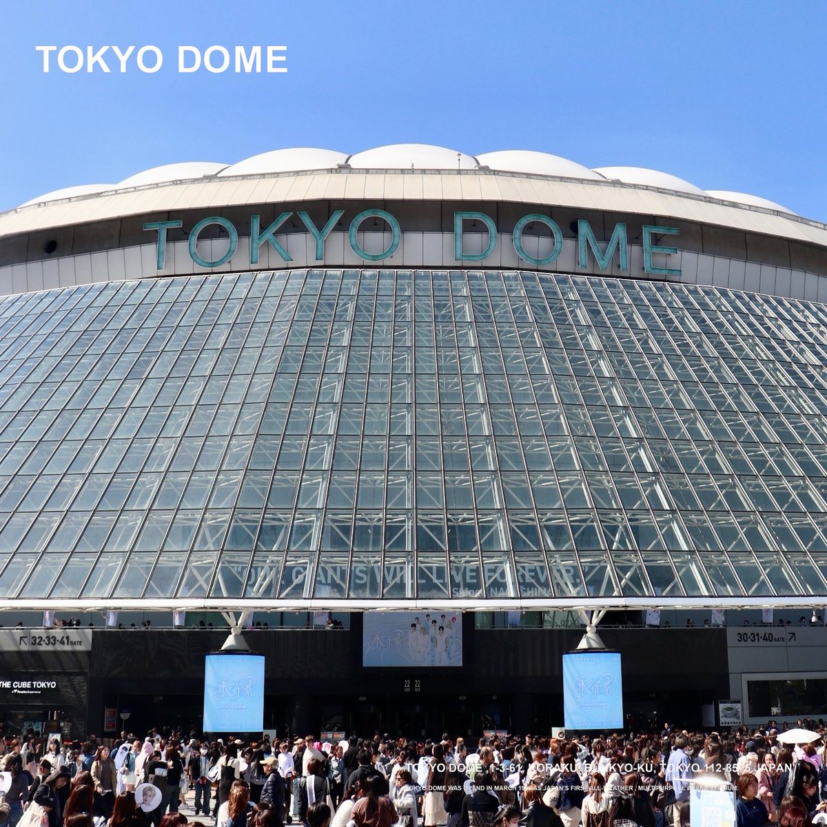 TOKYO DOME｜東京ドーム tweet media