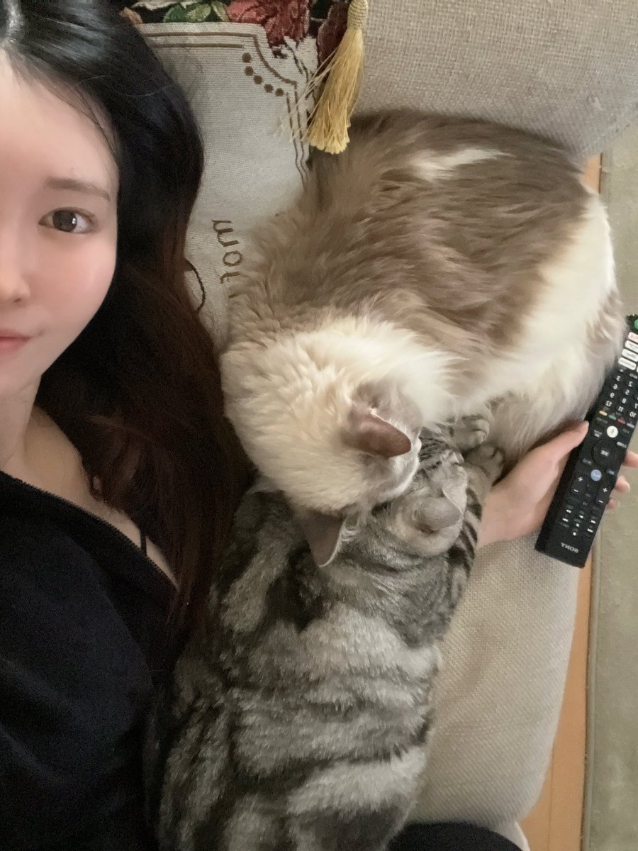 arisanssssss's tweet photo. 起きたら可愛すぎたので急いで写真 https://t.co/SQRQ7wgRAi