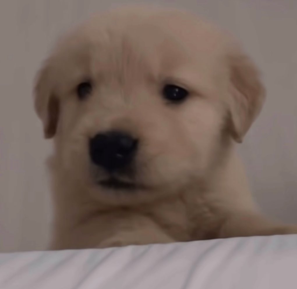 natty ✯ jaypril tweet media