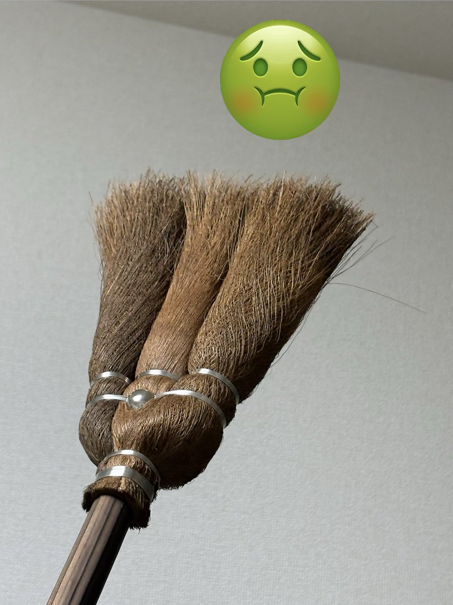 も な ち ゃ ん 🐱ྀི ⸝⋆* tweet media