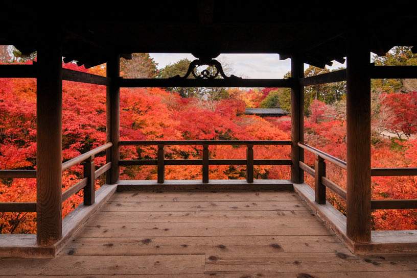 やつめ tweet media