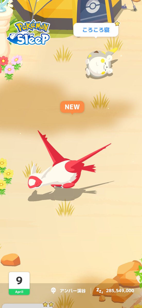 ecolocy(Policy)🌱女装Vtuber tweet media