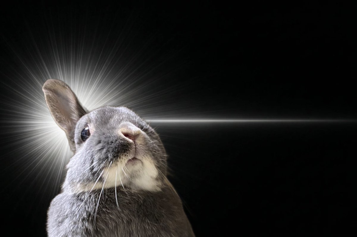 ︎︎︎︎︎ぱるぎ tweet media