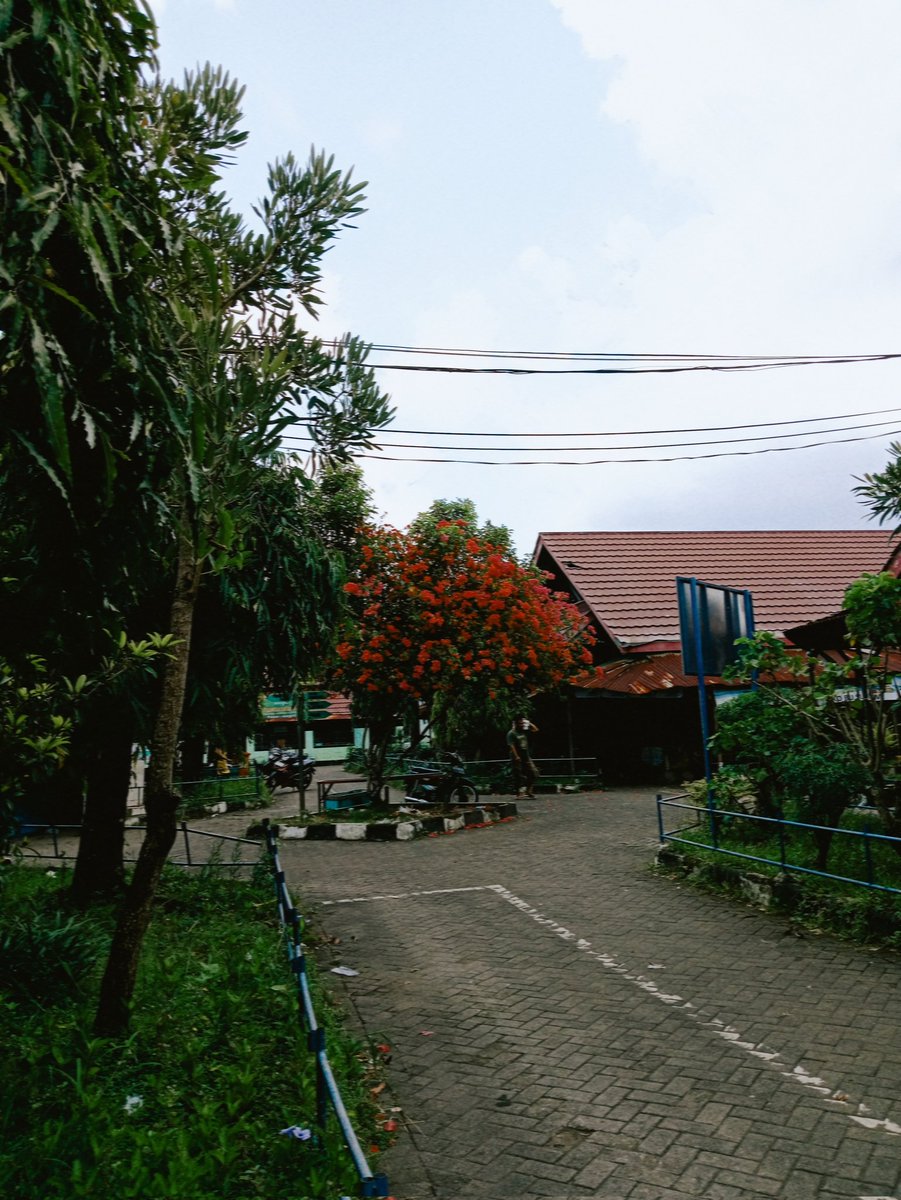 urlvyaya's tweet photo. traditional market vibes https://t.co/dK5t4IxfNB