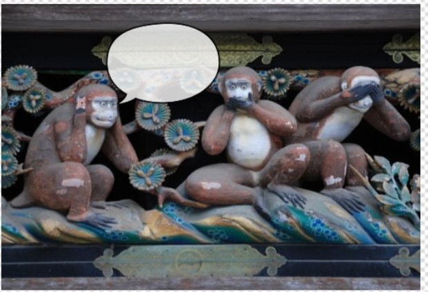 ともひろ🌷 tweet media