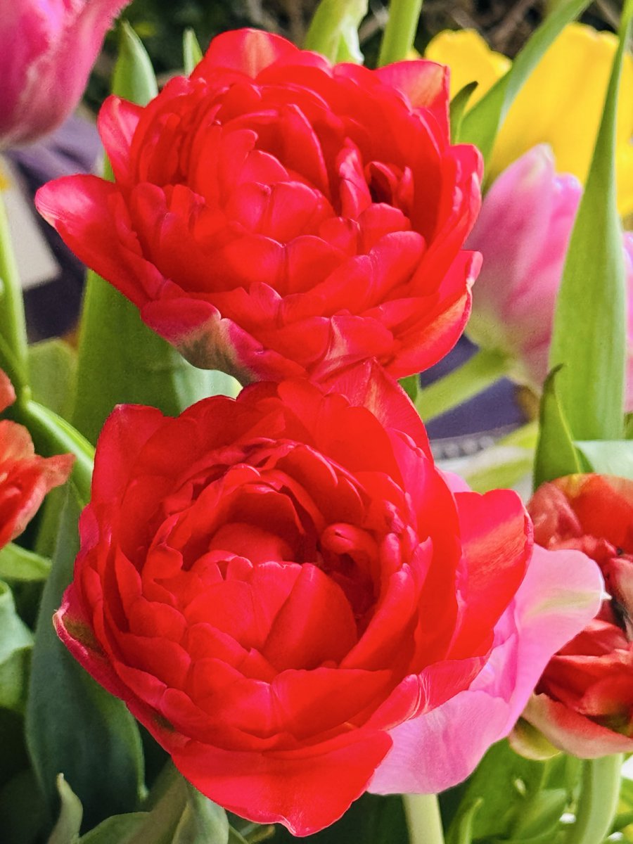 Niktowska1 tweet media