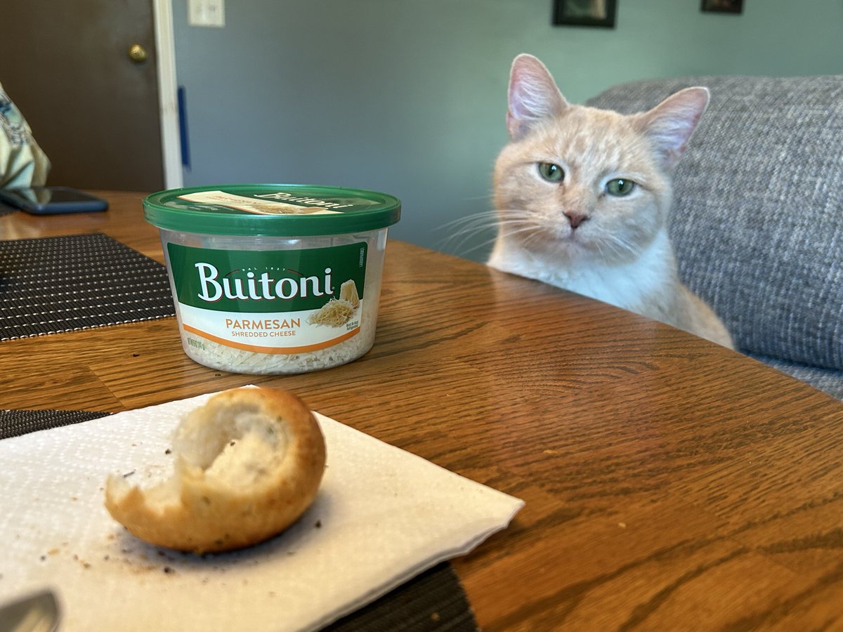 casper & gimli !! tweet media