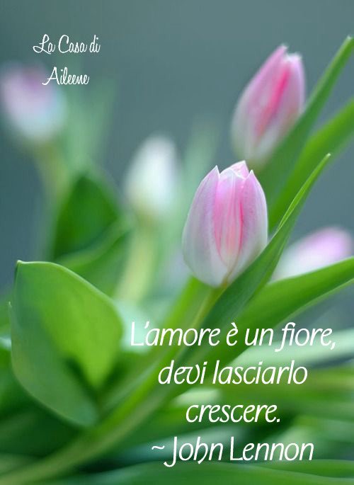 pattyfra1's tweet image. Buongiorno🩷
#FridayMood #love #BuongiornoATutti ☕️