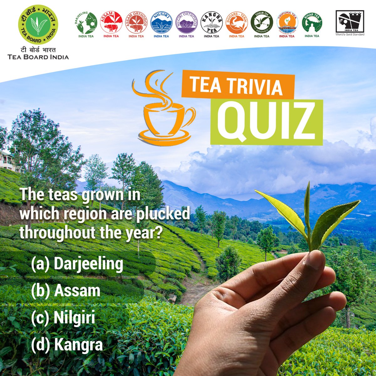 Tea Board India tweet media