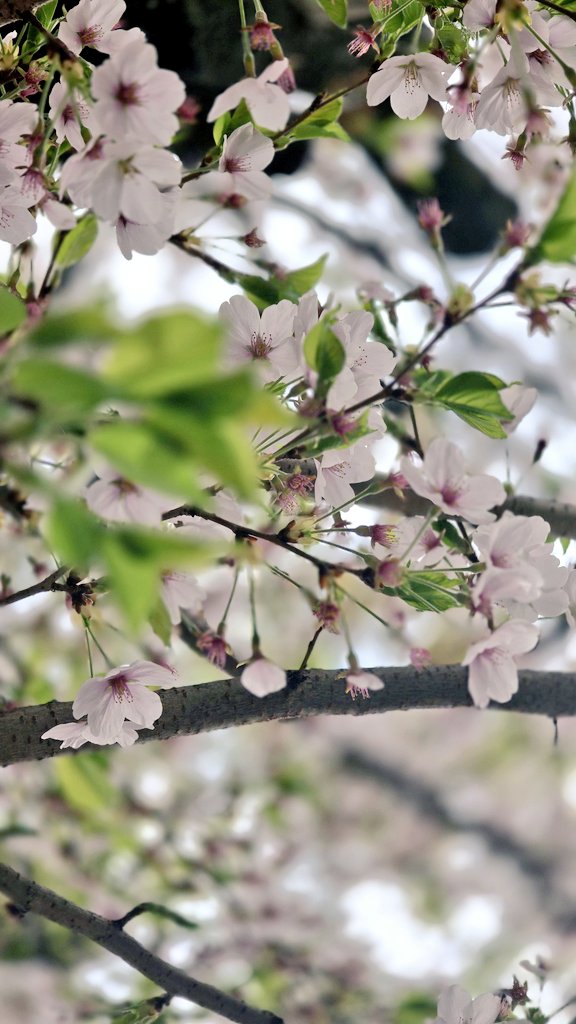 햇비🌦 tweet media