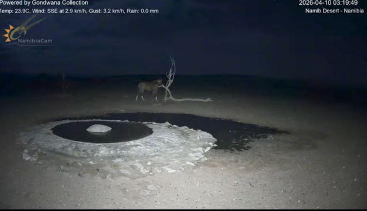 白色尉 tweet media