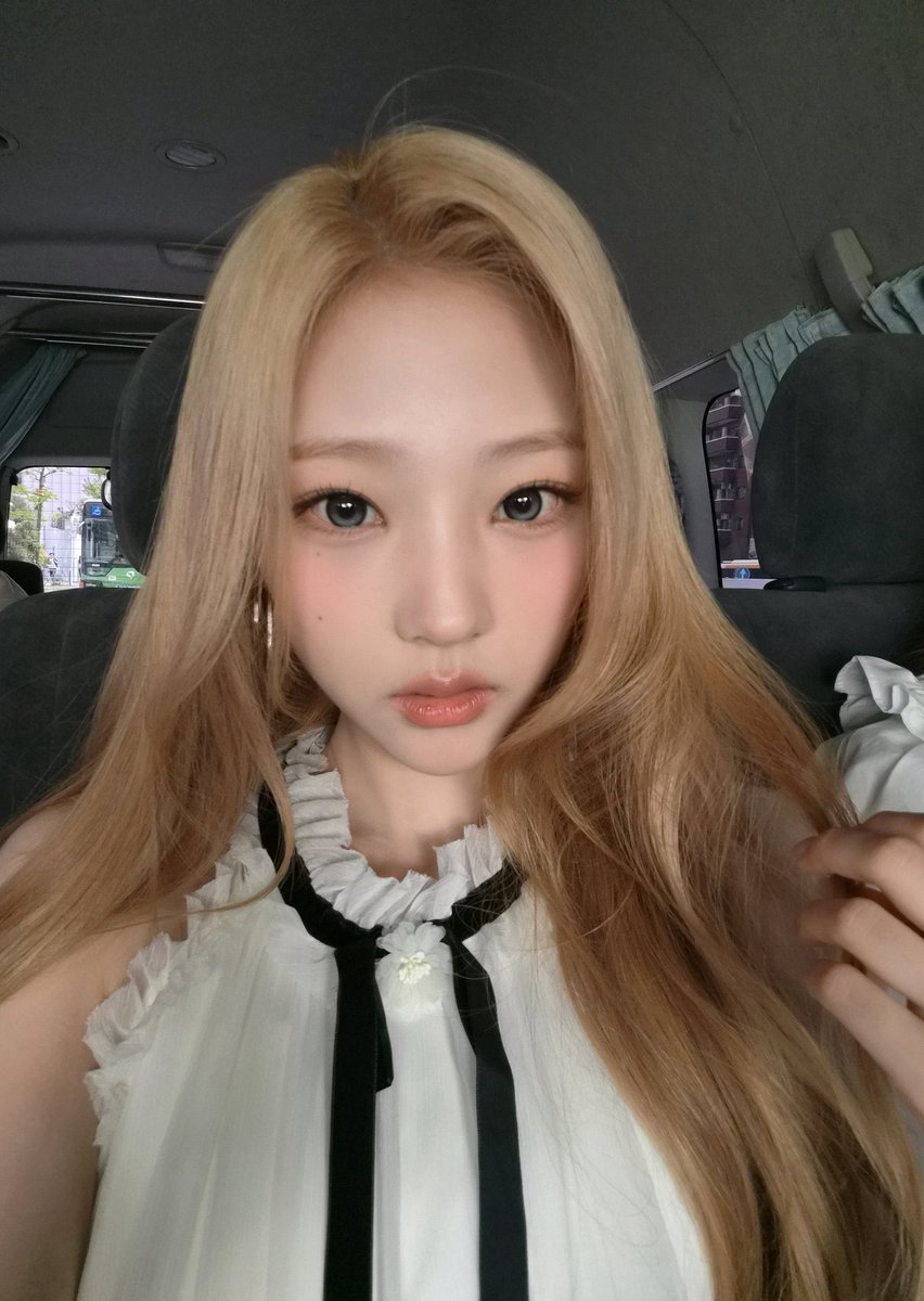 stella pics tweet media