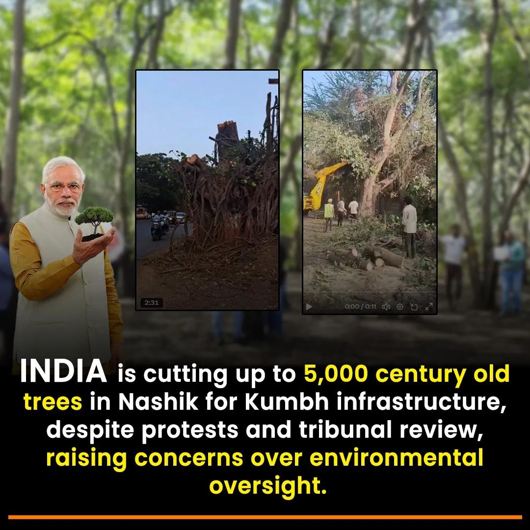 Dr Ranjan tweet media