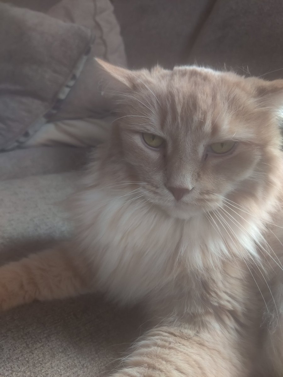 Spoken2Up tweet media