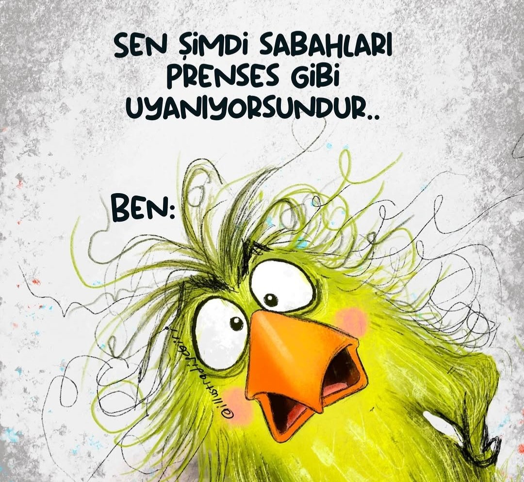 Burçin💛💙 tweet media