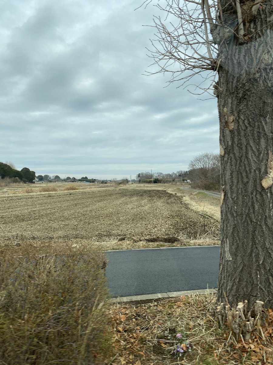 ぷゆゆ tweet media