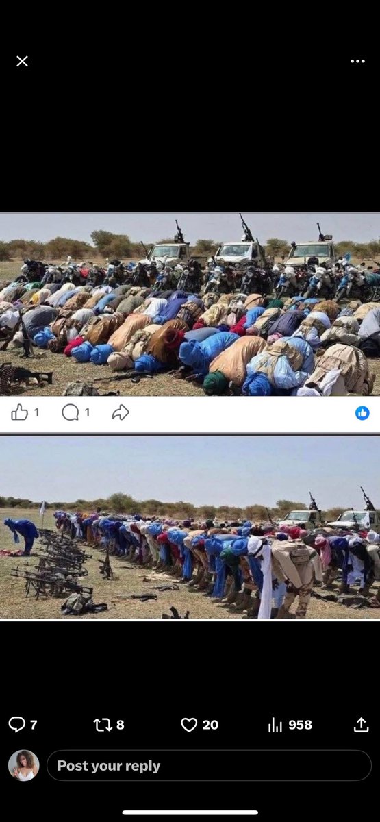 Grace hannah tweet media