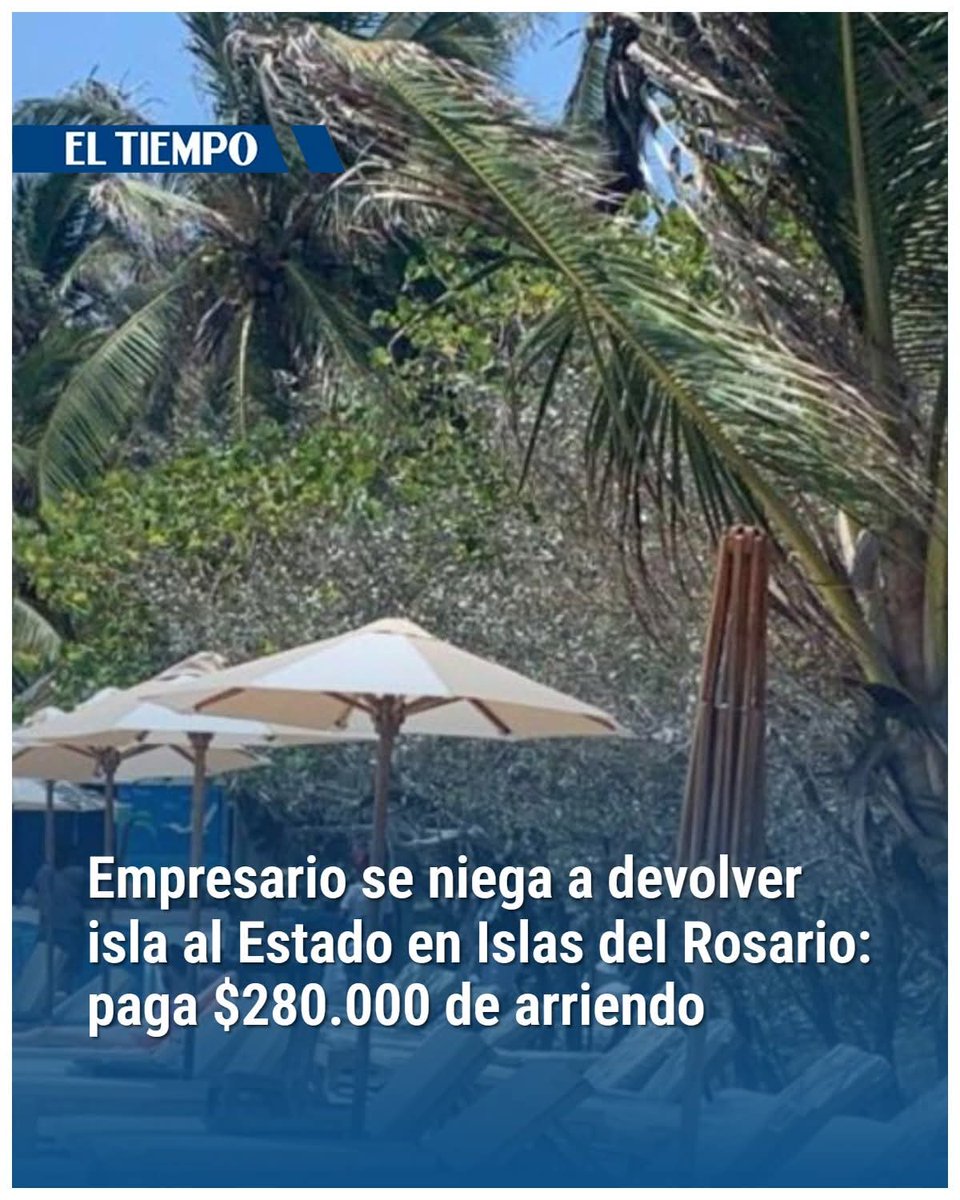 𝗪𝗜𝗟𝗦𝗢𝗡 𝗦𝗨𝗔𝗭𝗔 tweet media