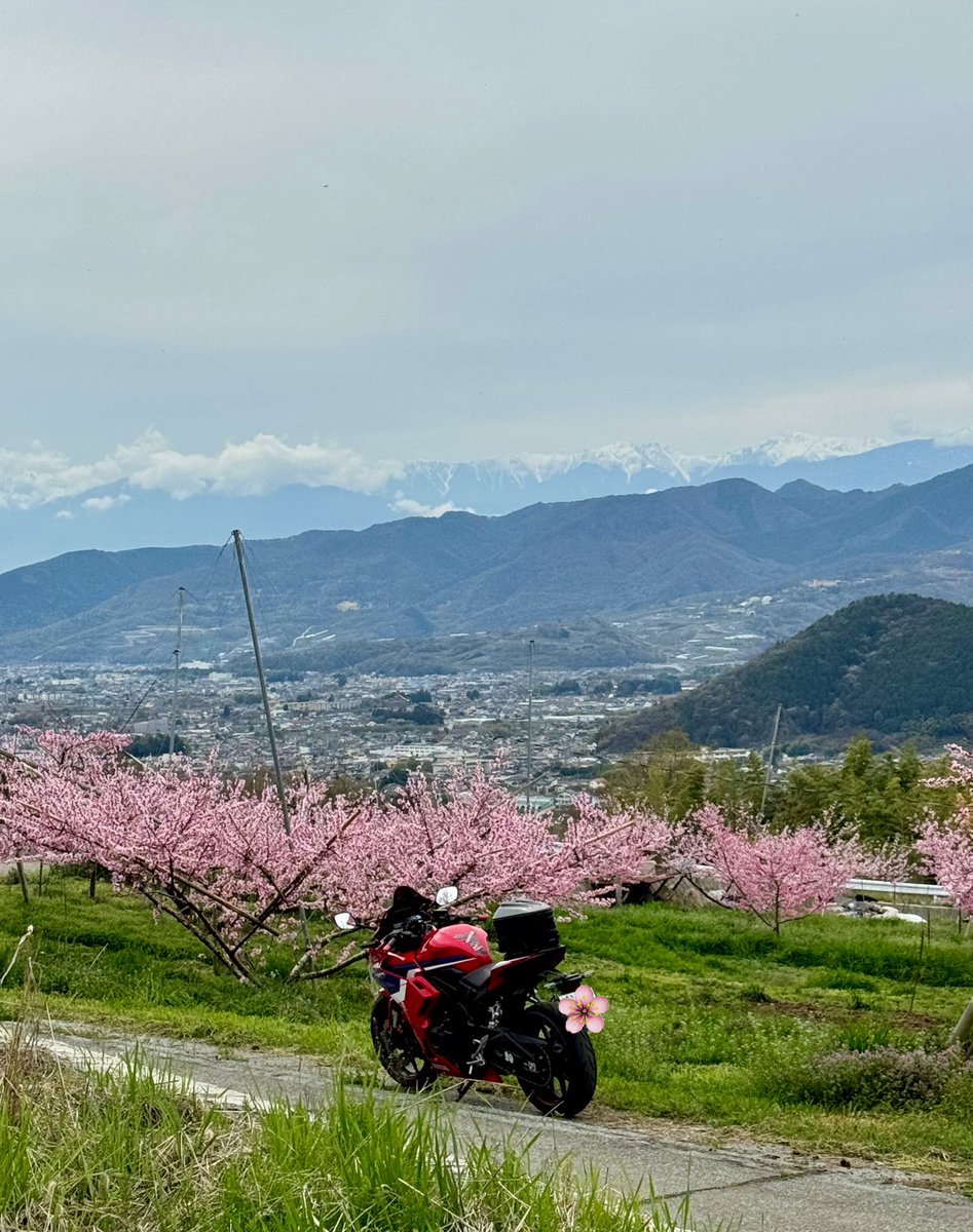 R子@CBR400R tweet media