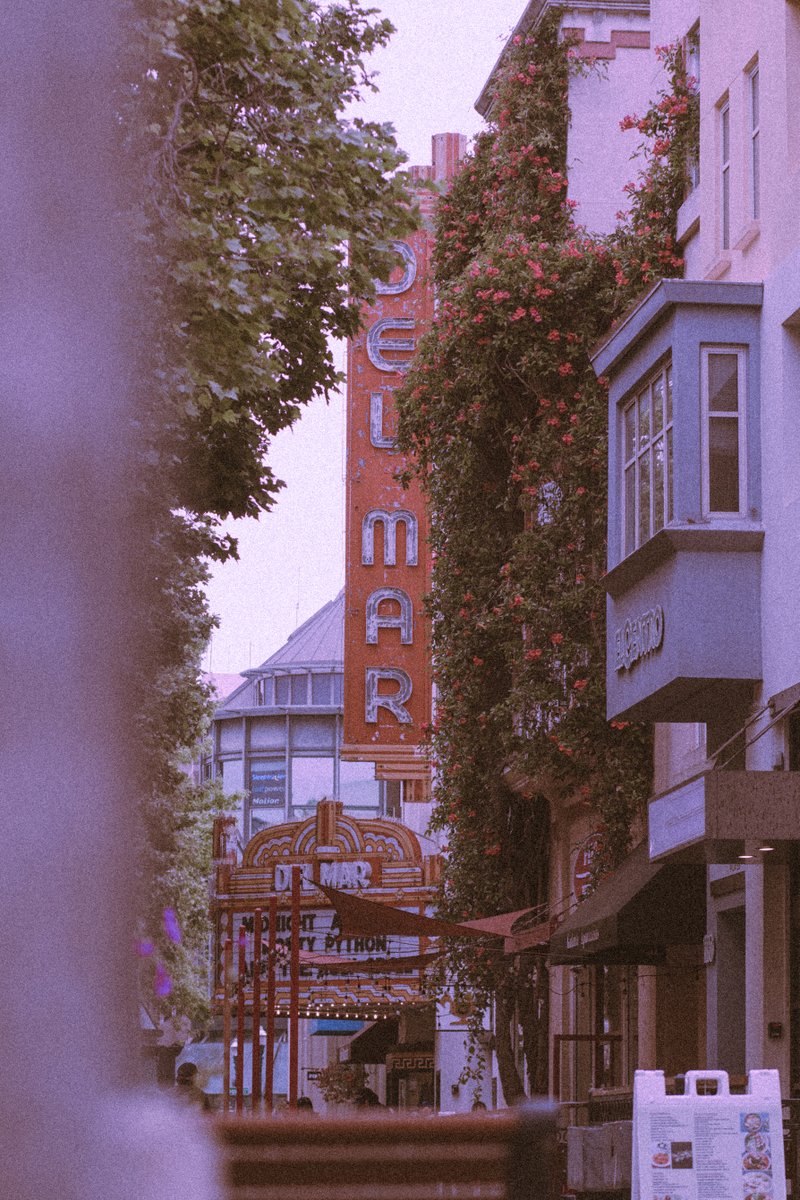 📸 ✍️ Amy tweet media