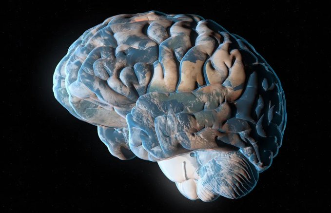 Julián Castellanos tweet media