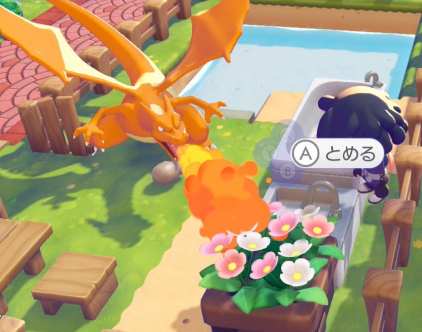 🎮げーみんぐみぃと🐶 tweet media