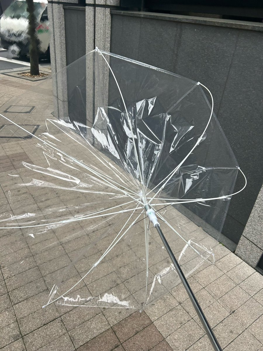 桃絵ありさ@ラビットビット tweet media