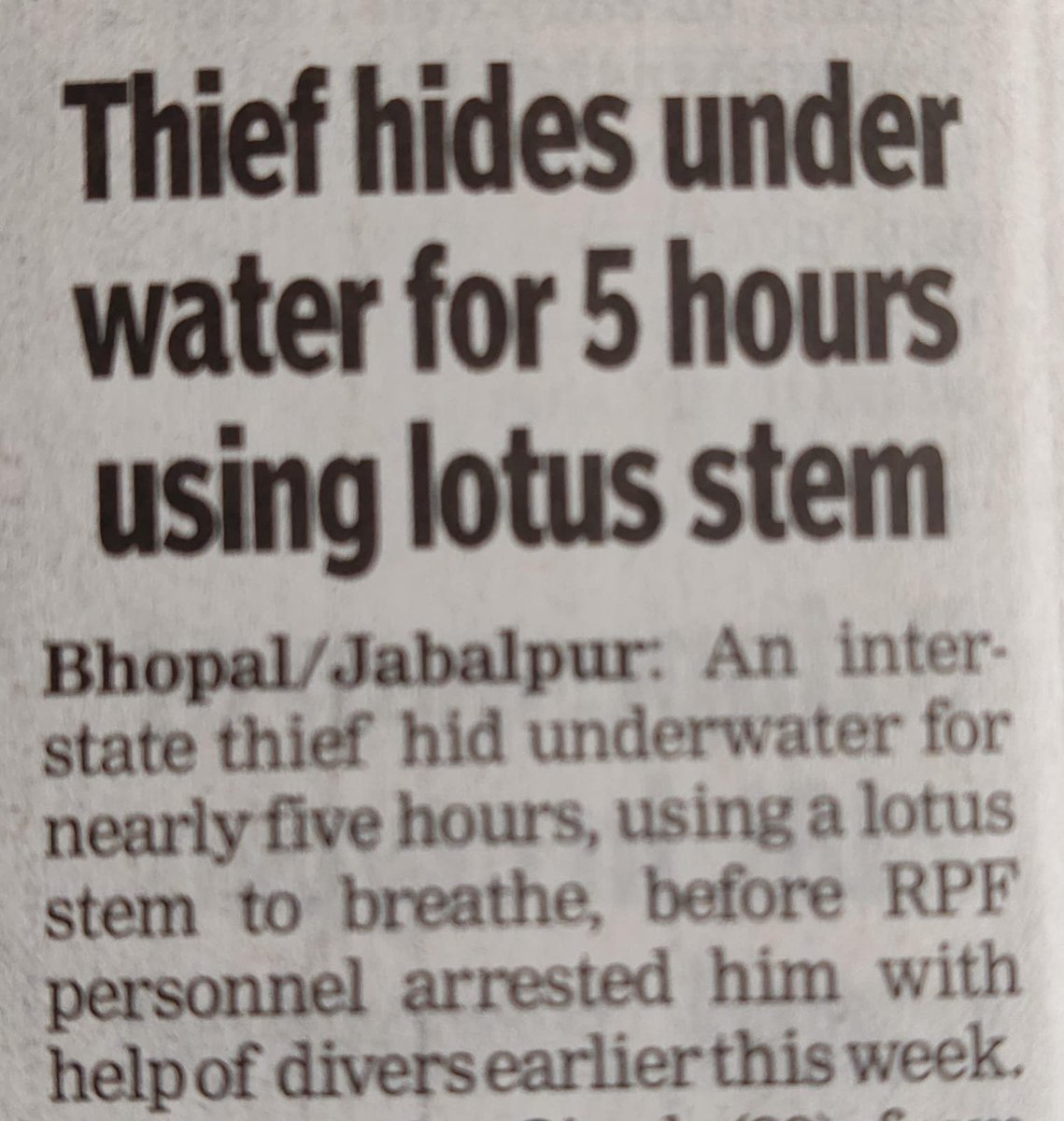 Well, innumerable such thieves can be found if cops did their duty‼️🙏🏼