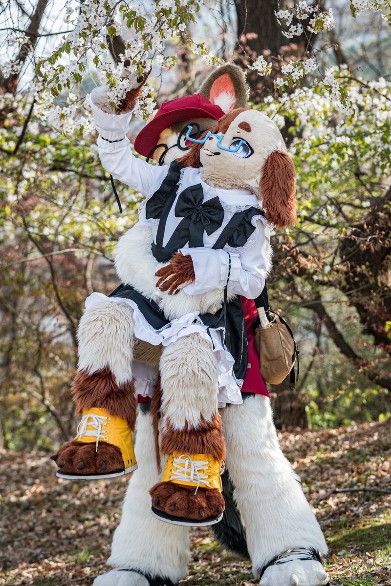 상민/サンミン🔜?? tweet media