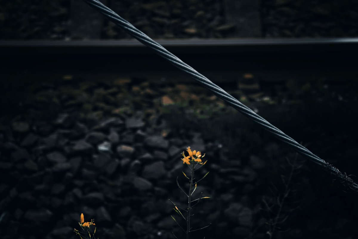 reject_dispute's tweet image. #Leitzphone #Xiaomi17Ultra #Xiaomi #XiaomiStoreJapan