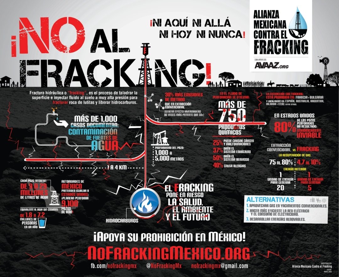 Ulises 🇵🇸 tweet media