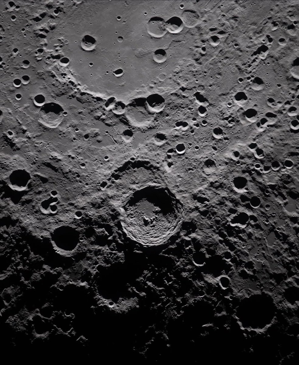 Astropoeta ✨ tweet media