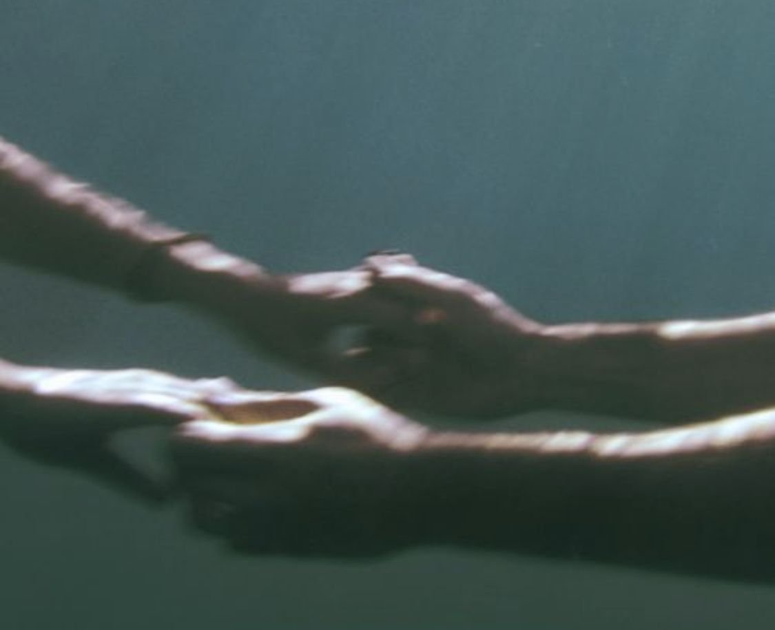 no labels, just rose. tweet media