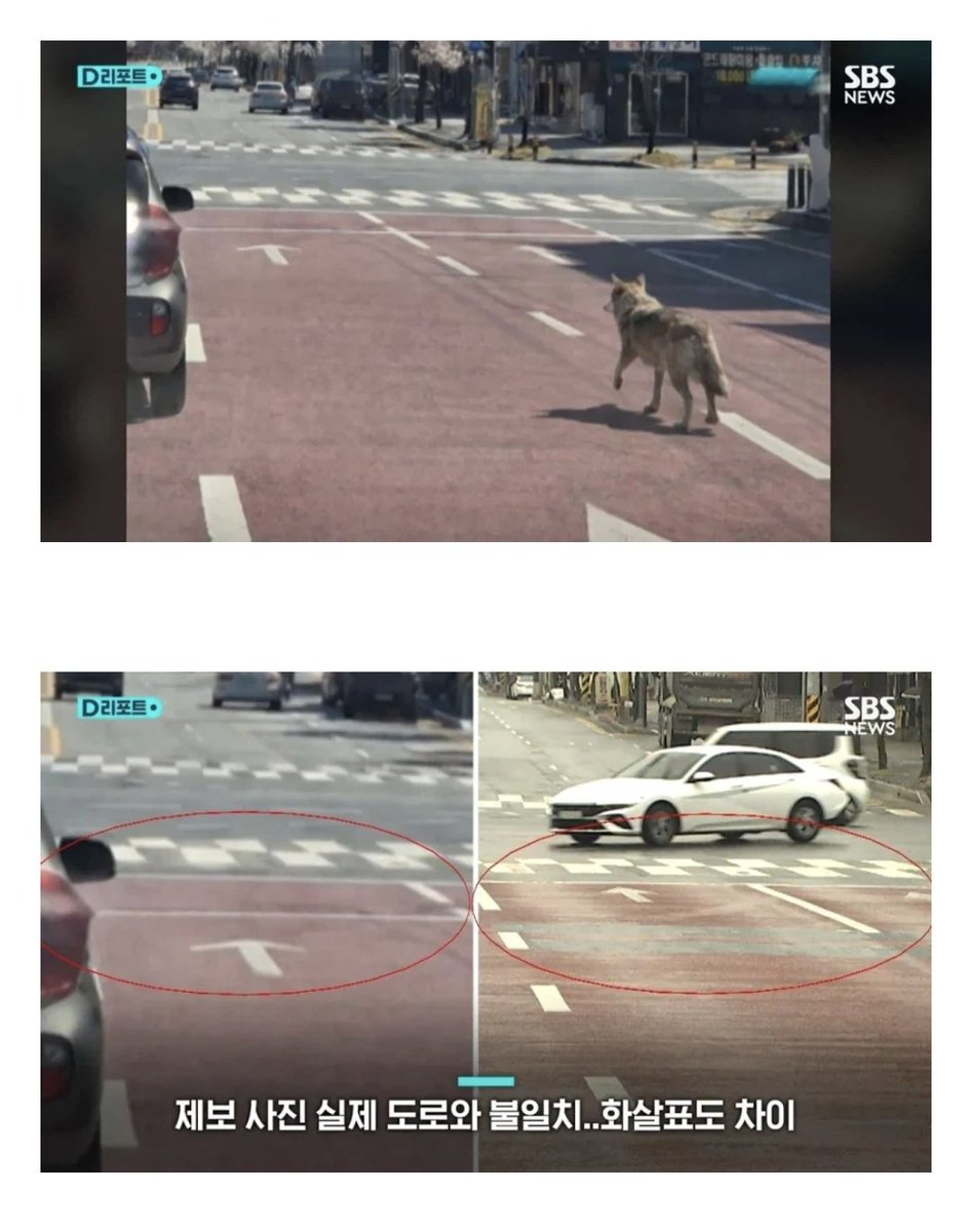 오리넉울 tweet media