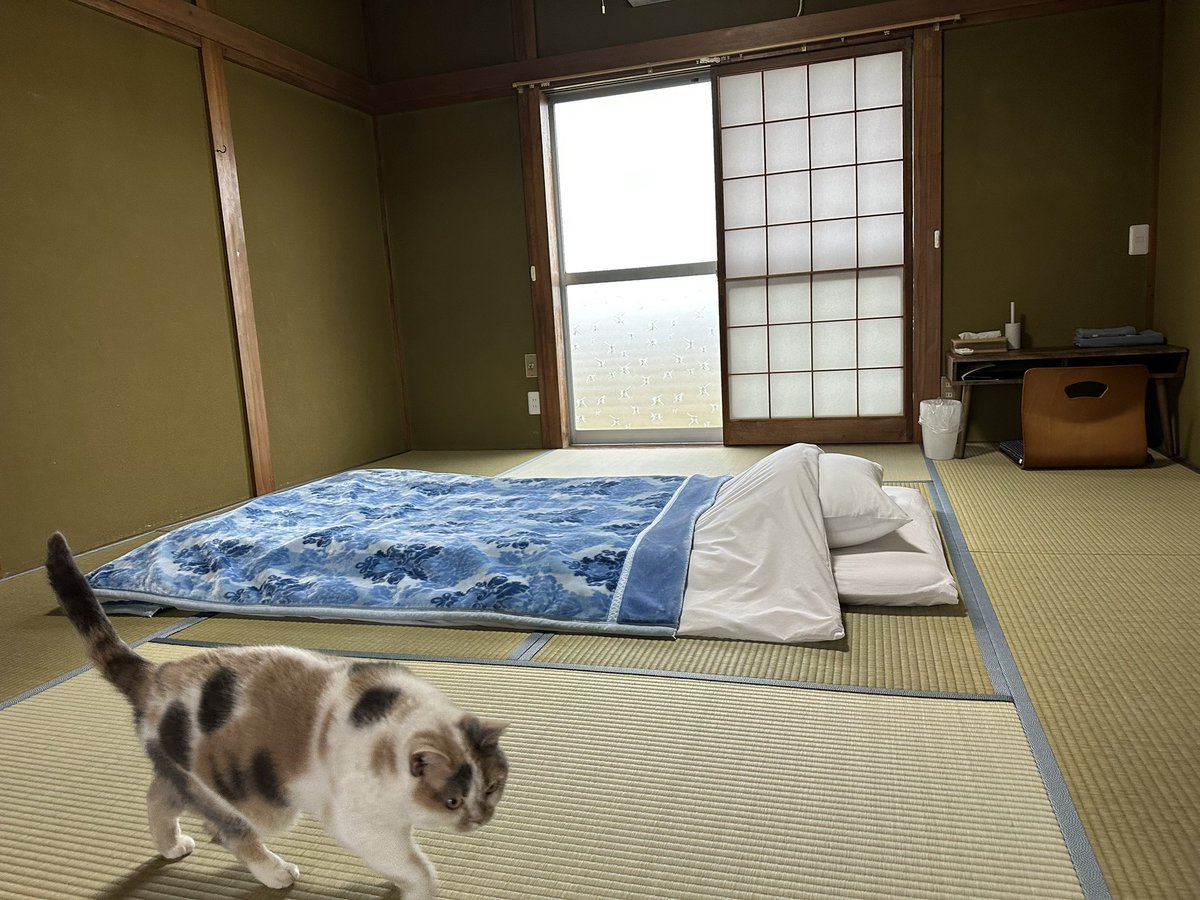 なつめ tweet media