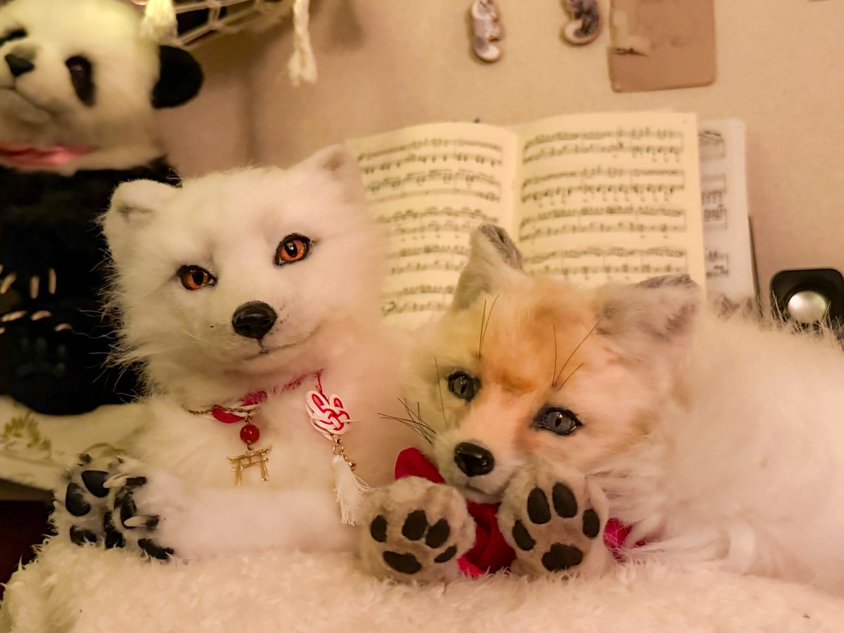 シティランきつね tweet media