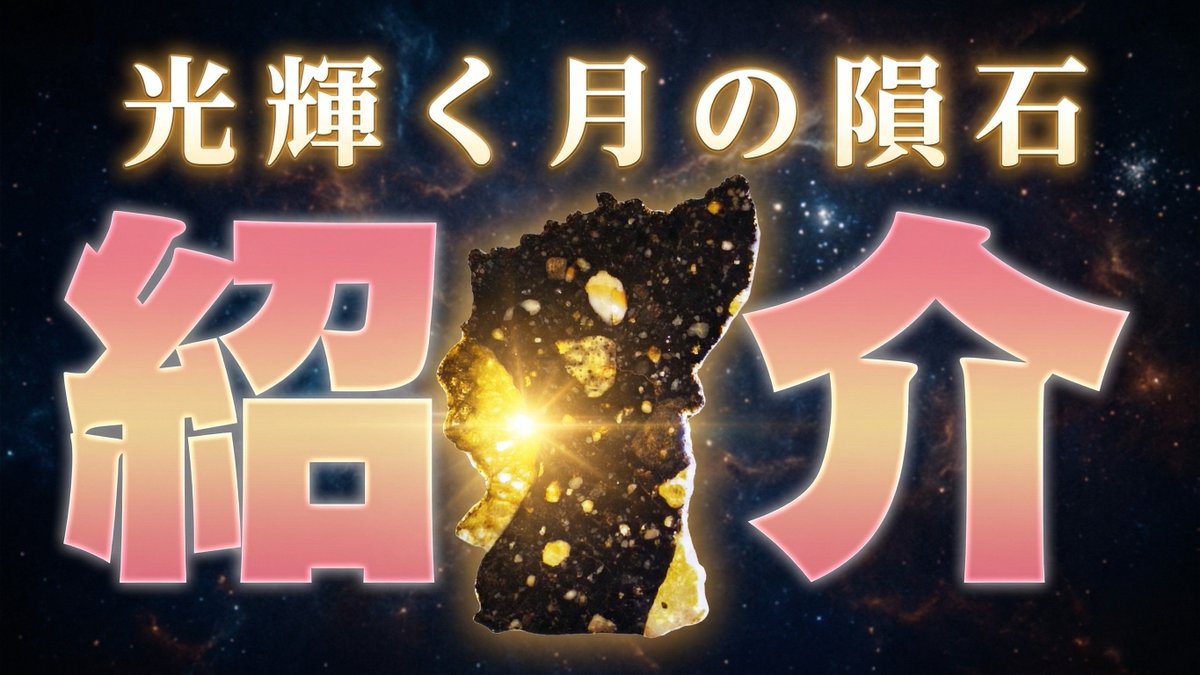 【隕石屋】METEOS(メテオス) tweet media