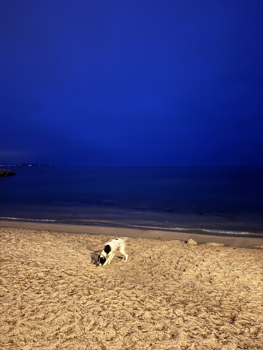 ReneTombarel's tweet image. Ambiance du jour #cannes #cotedazurfrance