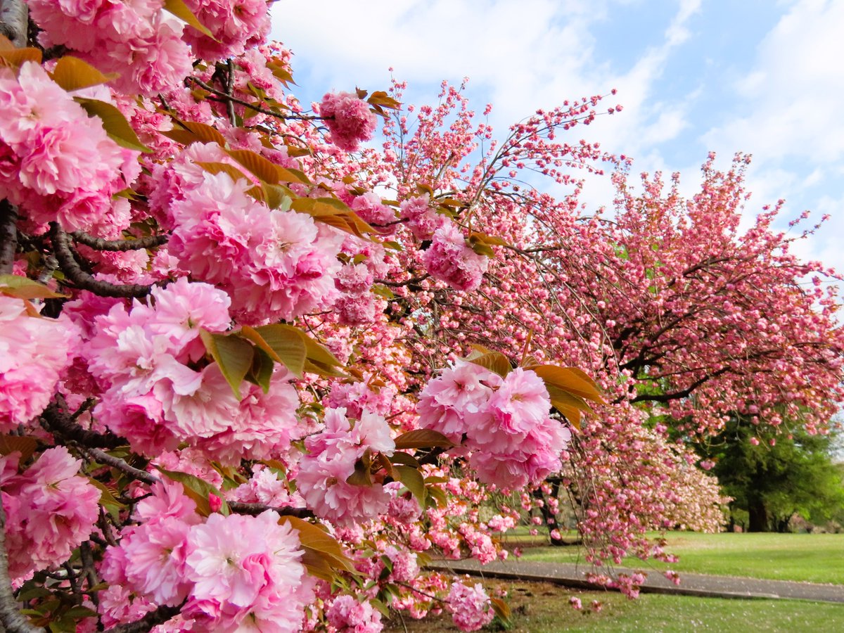 環境省 tweet media