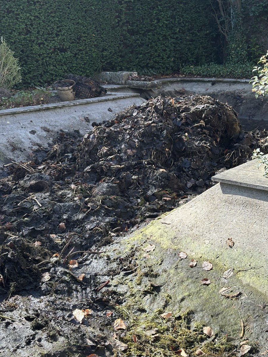 Pruxis's tweet photo. @thenerd_be Jump in it and figure out how bad it is, my pond was never cleaned properly for 15 years so had to clean it out https://t.co/aLhhOvOFqS