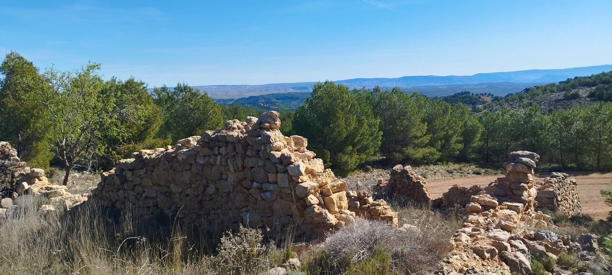 Roberto Baila (Also on #Bluesky) tweet media