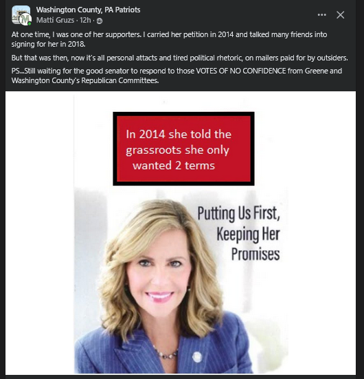 D Lynn (Pittsburgh Gal) tweet media