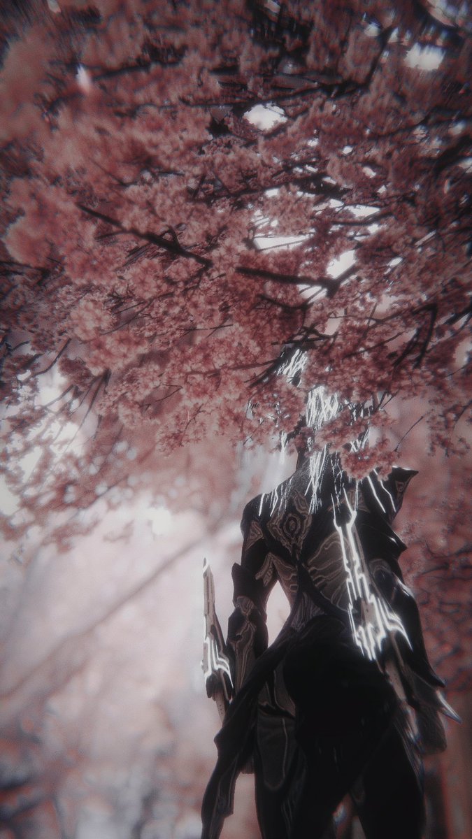 ❄️春山矿难🐧 tweet media