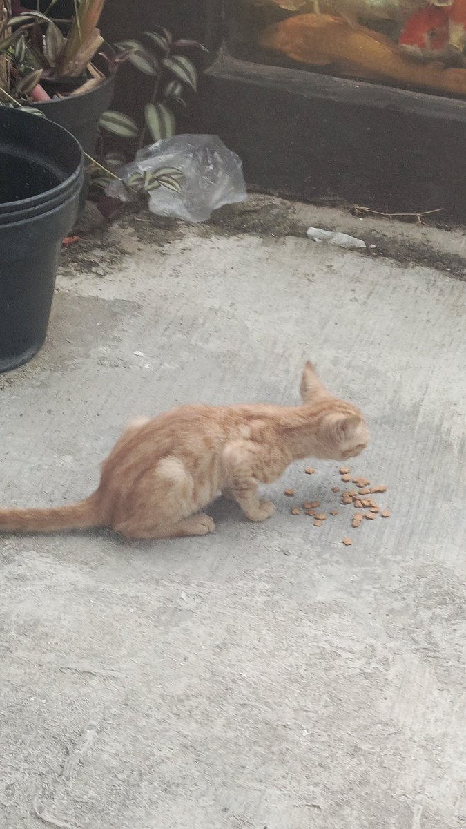 Drei🍦 tweet media