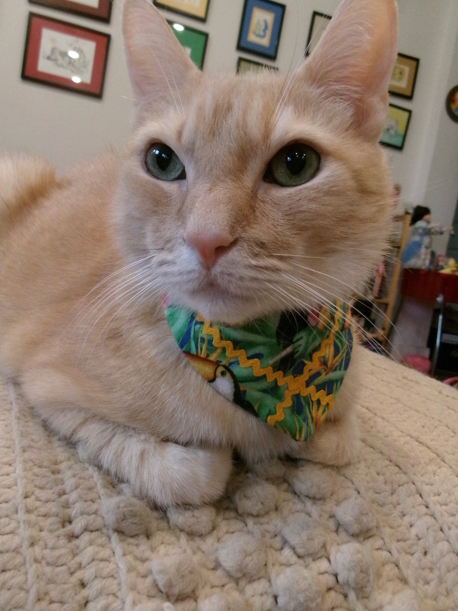 Travis Ford tweet media