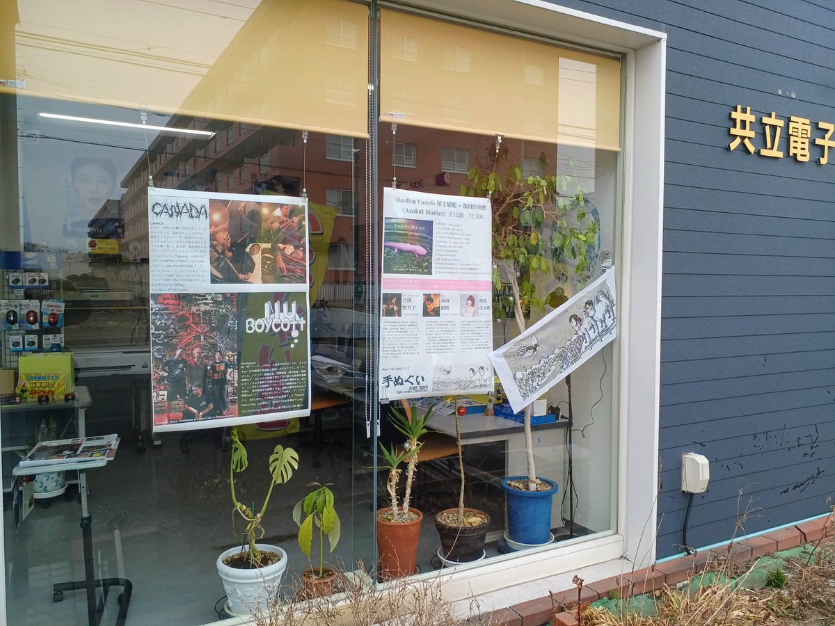 Nonoko Yoshida 吉田野乃子 tweet media