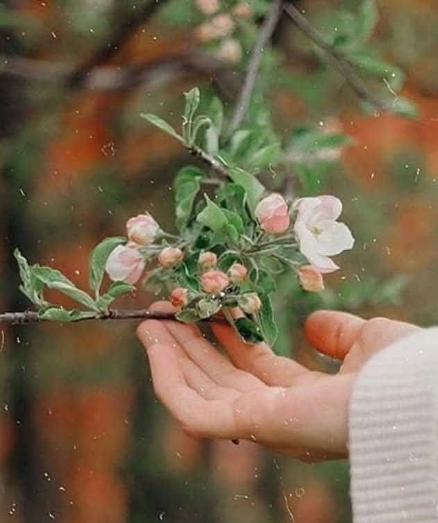 Gımgım tweet media